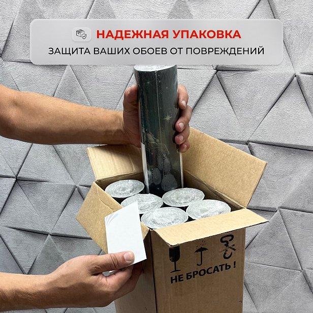 Обои Фокс 10810 Сияние-2